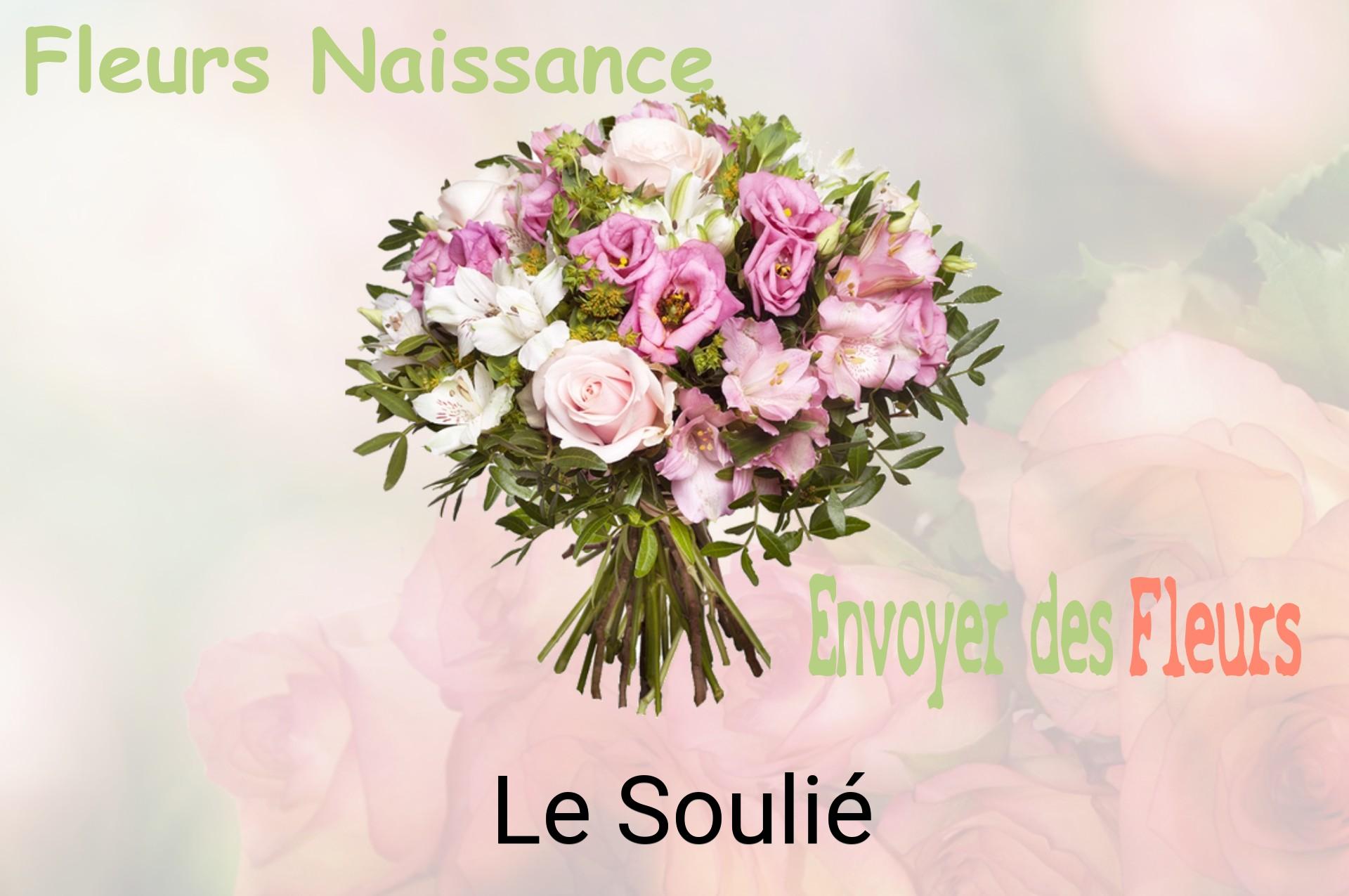 Bouquet de fleurs de naissance livré à Le Soulié