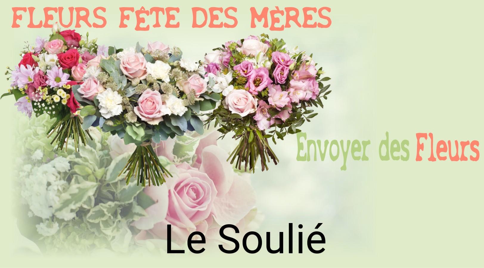 Bouquet de Fête des Mères livré à Le Soulié